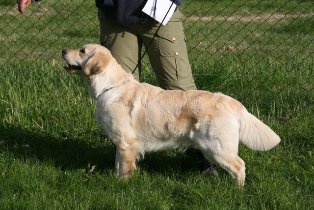 Zita